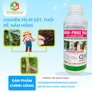 ARGI-PHOS 700 - vietnamnongnghiepsach.com.vn 2