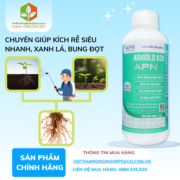 ARIGOLD 620 - vietnamnongnghiepsach.com.vn 1