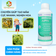 ARIGOLD 620 - vietnamnongnghiepsach.com.vn 2