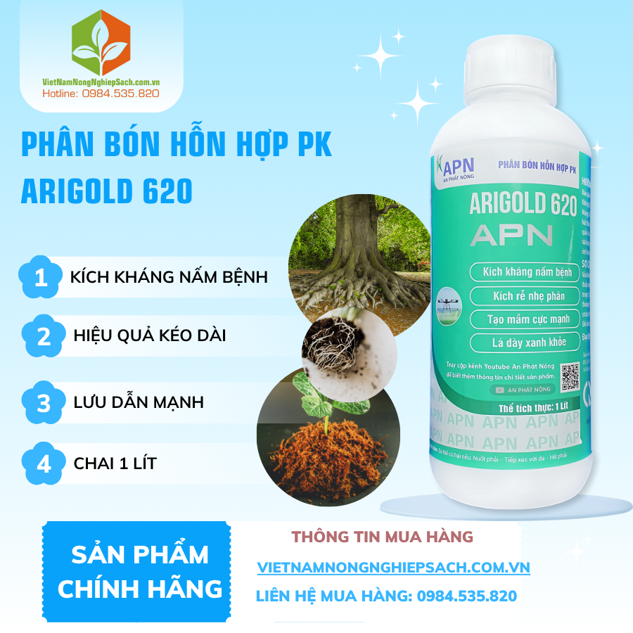 ARIGOLD 620 