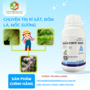 BANJO FORTE 400SC - vietnamnongnghiepsach.com.vn 2