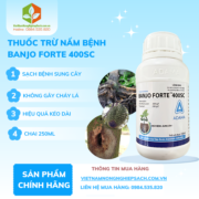 BANJO FORTE 400SC - vietnamnongnghiepsach.com.vn