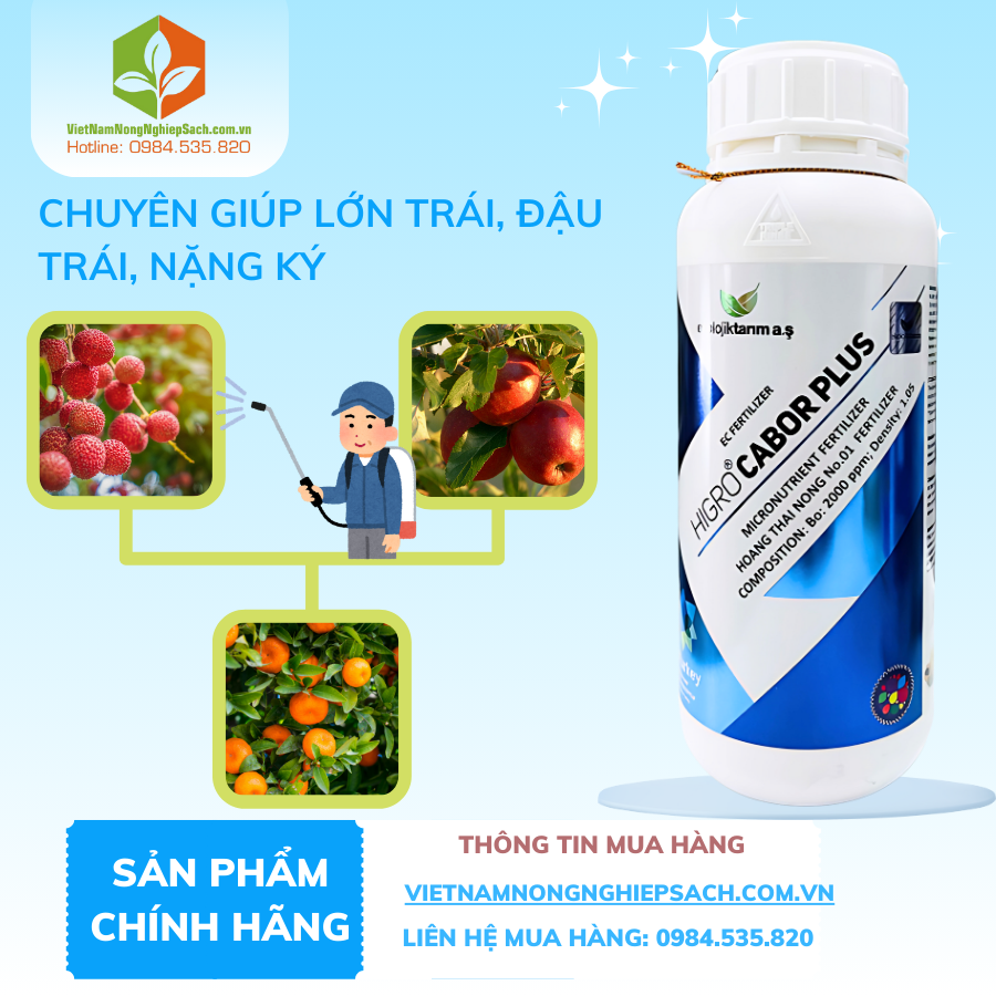 HIGRO CABOR PLUS