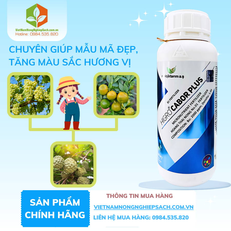 HIGRO CABOR PLUS