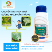 KHUẨN APN+++ - vietnamnongnghiepsach.com.vn 1