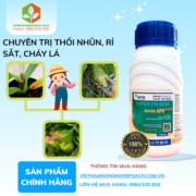 KHUẨN APN+++ - vietnamnongnghiepsach.com.vn 2