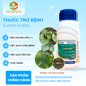 KHUẨN APN+++ - vietnamnongnghiepsach.com.vn