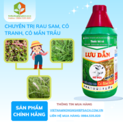 LƯU DẪN - vietnamnongnghiepsach.com.vn 2