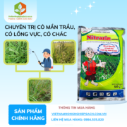 NITRAZIN 800WP​ - vietnamnongnghiepsach.com.vn 1