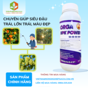 ORGA NPK POWER​ - vietnamnongnghiepsach.com.vn 1