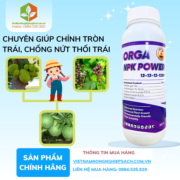 ORGA NPK POWER​ - vietnamnongnghiepsach.com.vn 2