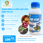 SIÊU TO CỦ​ - vietnamnongnghiepsach.com.vn