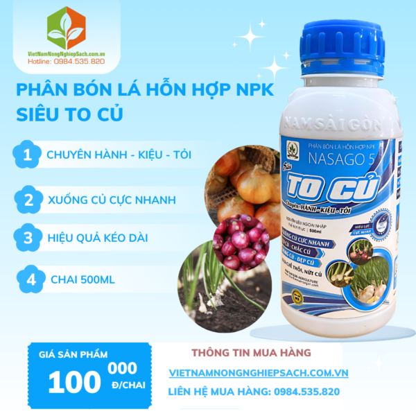 SIÊU TO CỦ​ – vietnamnongnghiepsach.com.vn