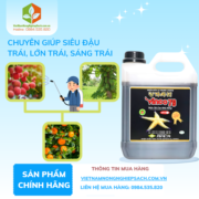 VINCO 79 - vietnamnongnghiepsach.com.vn 1