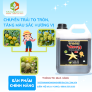 VINCO 79 - vietnamnongnghiepsach.com.vn 2