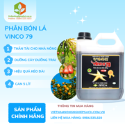 VINCO 79 - vietnamnongnghiepsach.com.vn
