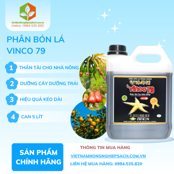 VINCO 79 – vietnamnongnghiepsach.com.vn
