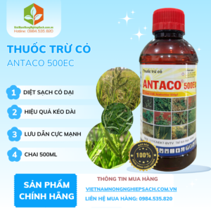 ANTACO 500EC​ - vietnamnongnghiepsach.com.vn