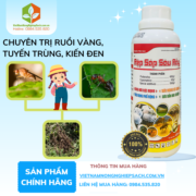 HIỆU RỆP SÁP SÂU RẦY - vietnamnongnghiepsach.com.vn 2
