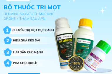 MỌT ĐỤC CÀNH – “KẺ PHÁ HOẠI THẦM LẶNG” TRÊN SẦU RIÊNG