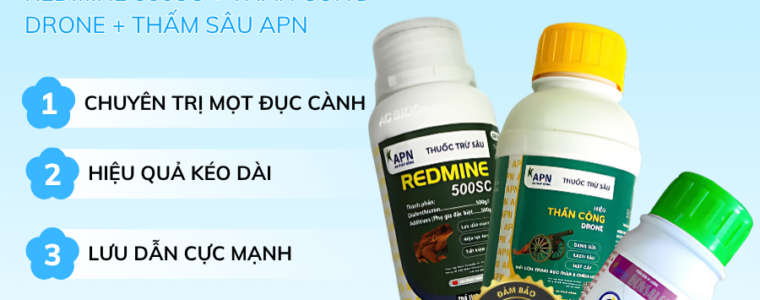 MỌT ĐỤC CÀNH - vietnamnongnghiepsach.com.vn