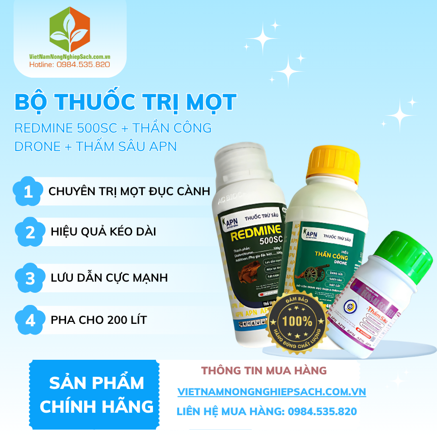 BỘ BA MỌT ĐỤC CÀNH