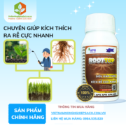 ROOTTOP APN​ - vietnamnongnghiepsach.com.vn 1