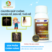 ROOTTOP APN​ - vietnamnongnghiepsach.com.vn 2